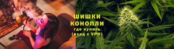 винт Аркадак