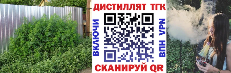 продажа наркотиков  Советская Гавань  Дистиллят ТГК Wax 