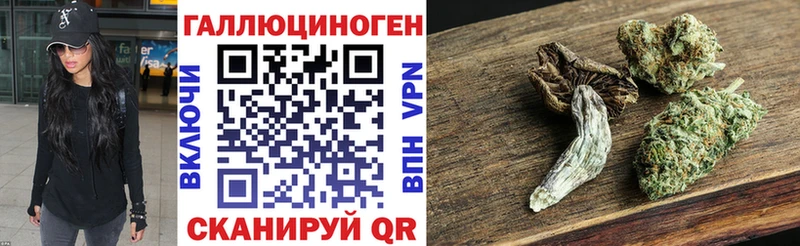 Псилоцибиновые грибы Psilocybe Советская Гавань