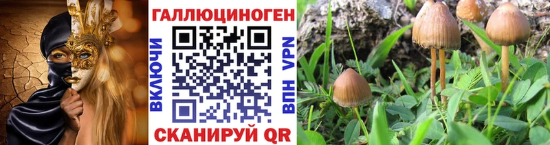 Галлюциногенные грибы MAGIC MUSHROOMS  где продают   hydra ONION  Советская Гавань 
